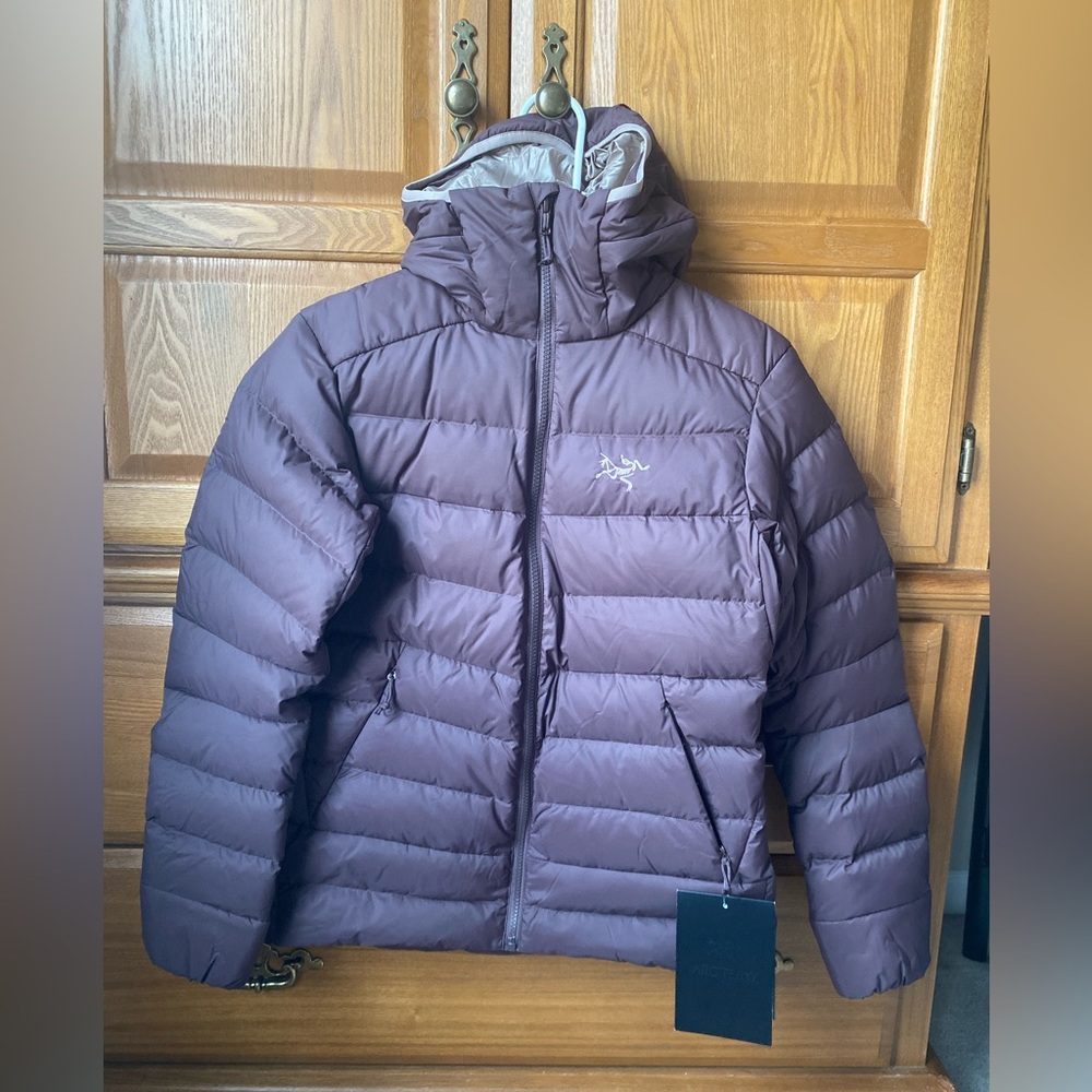 Arc’teryx Thorium AR Hoody, color Figment, size Small